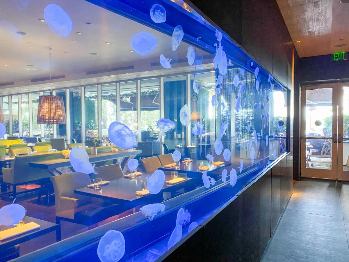 W Residences Fort Lauderdale Luxury Suites Across From Fort Lauderdale Beach Екстер'єр фото
